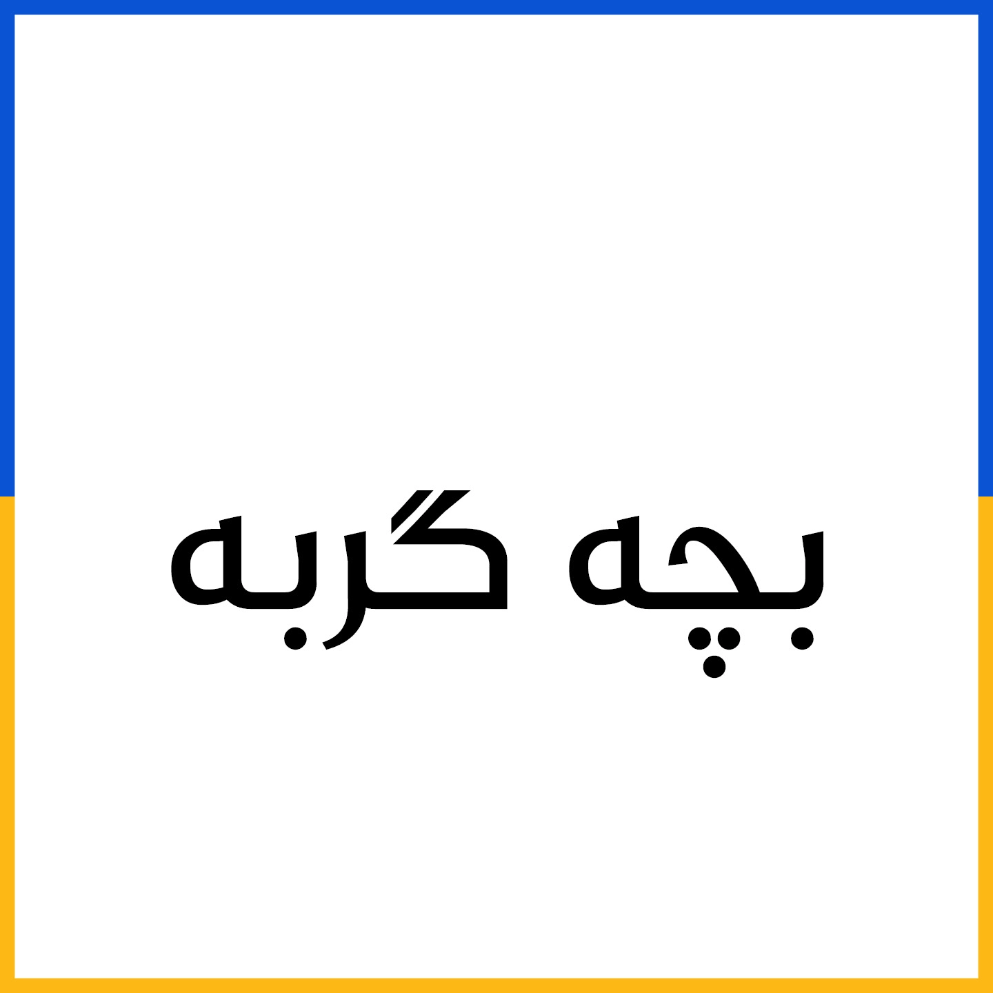 بچه گربه