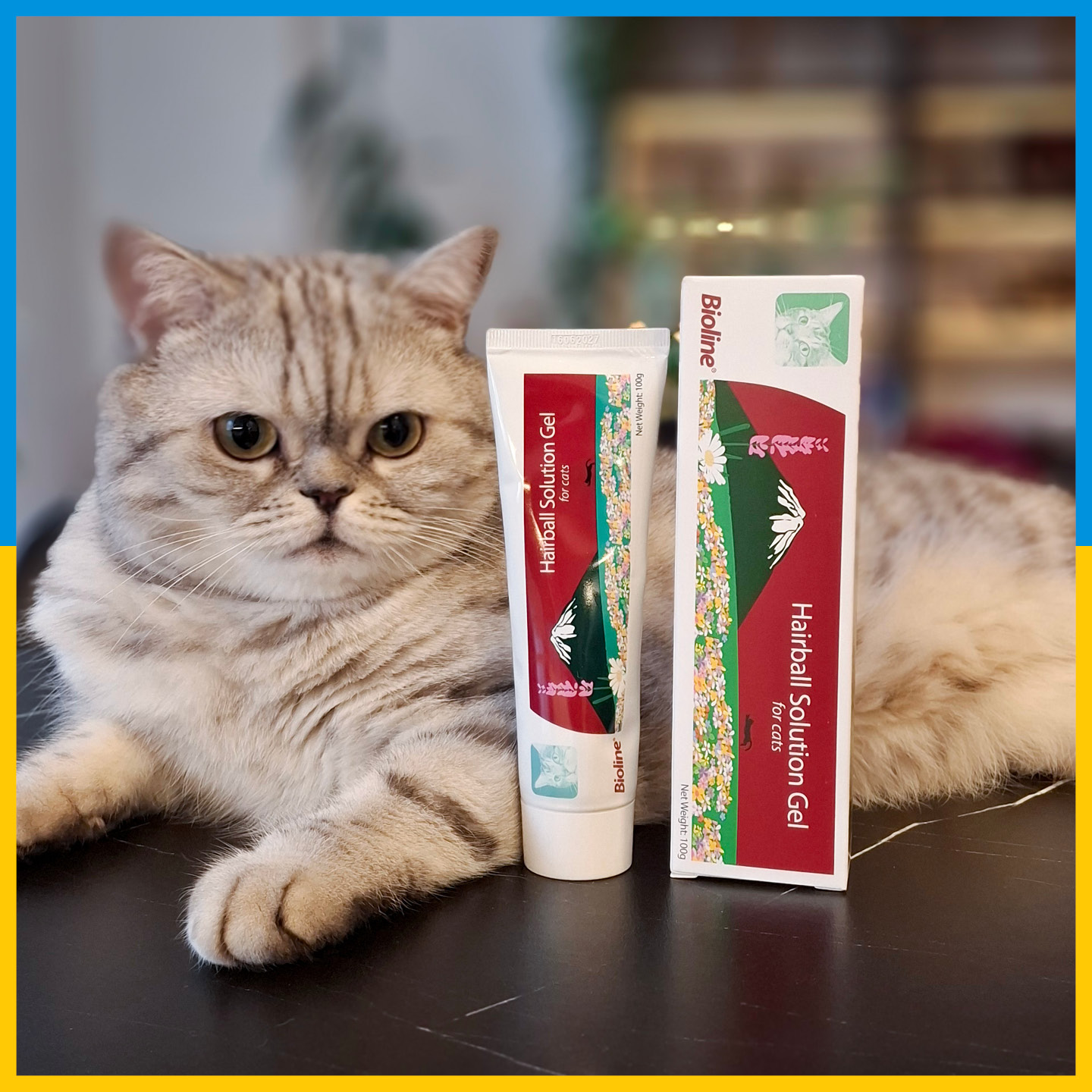 خمیر مالت گربه بایولاین - ضد گوله مو - 100 گرمی