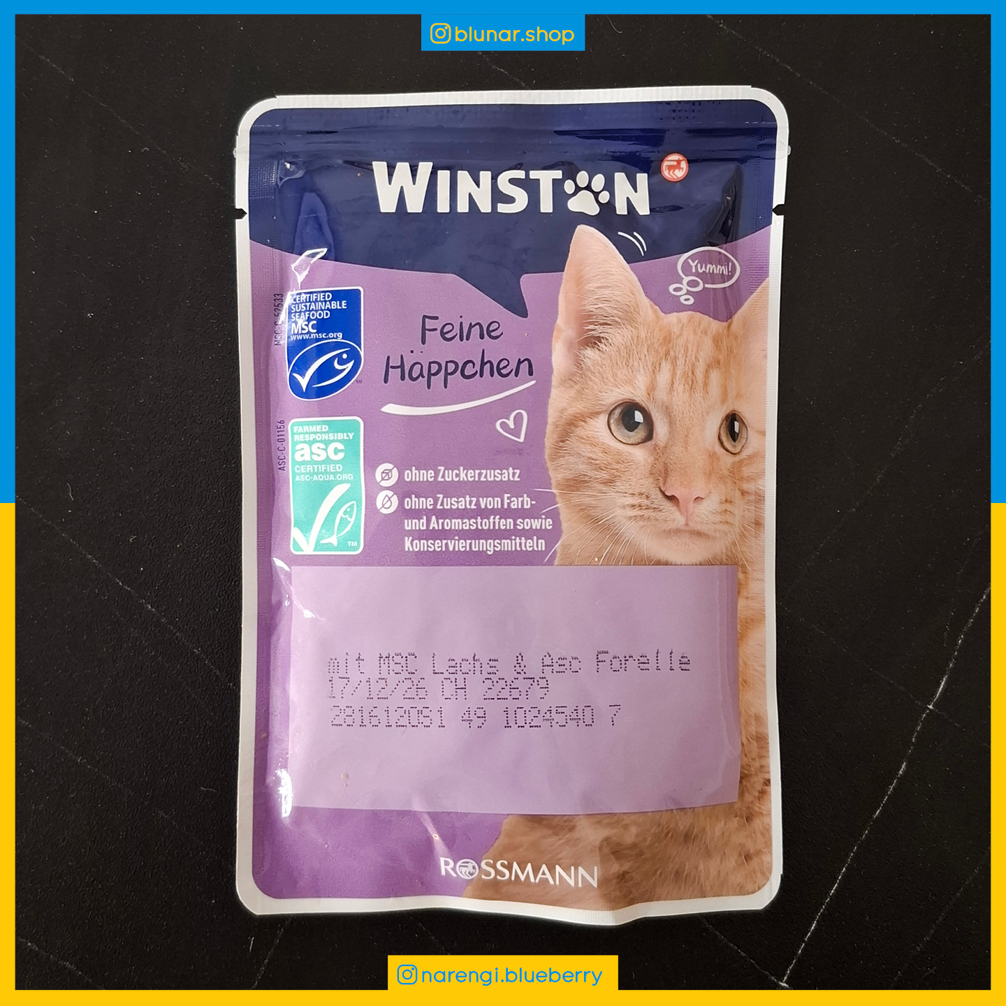 پوچ وینستون - طعم سالمون و قزل آلا - 100 گرمی