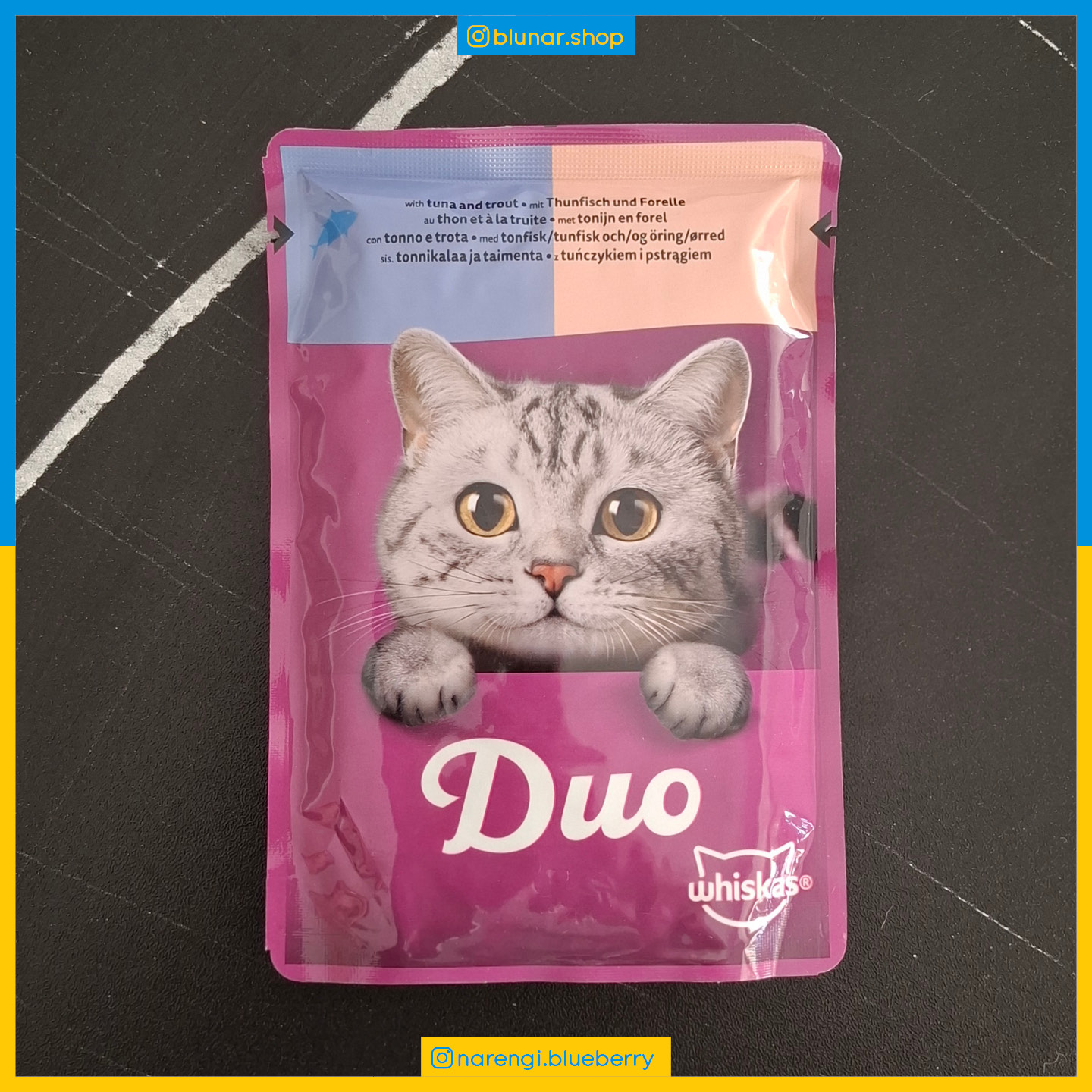 پوچ ویسکاس - گربه بالغ - تن و قزل آلا Duo