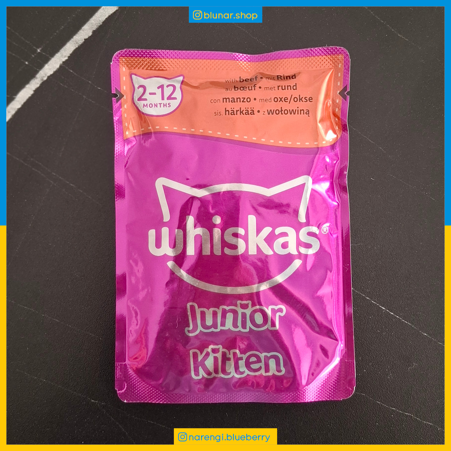 پوچ ویسکاس - بچه گربه کیتن - گوساله - Junior Kitten