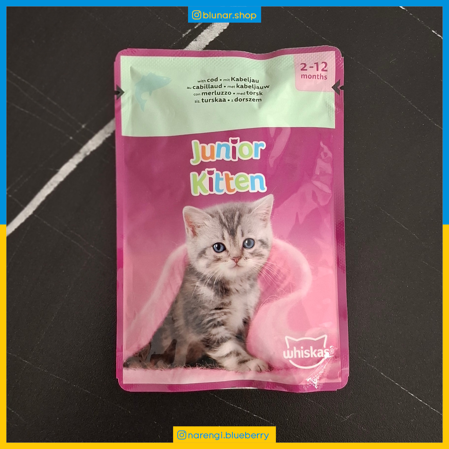 پوچ ویسکاس - بچه گربه کیتن - ماهی کاد - Junior Kitten