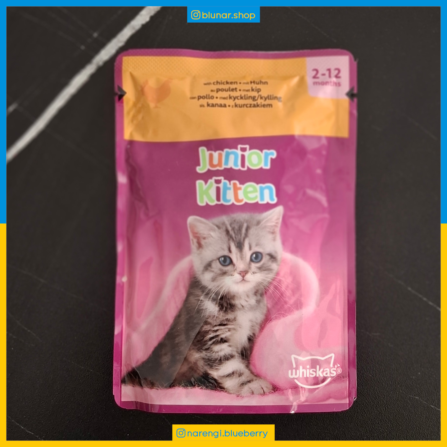 پوچ ویسکاس - بچه گربه کیتن - مرغ - Junior Kitten